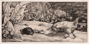 Das Unbekannte, 1862