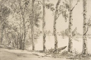 Trembles am Ufer der Seine, ca. 1884 von Felix Bracquemond