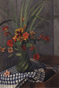 Kapuzinerkresse, 1920