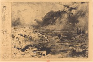 Der Sturm, 1879 von Felix Hilaire Buhot