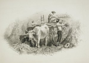 Heuernte-Szene von Felix Octavius Carr Darley