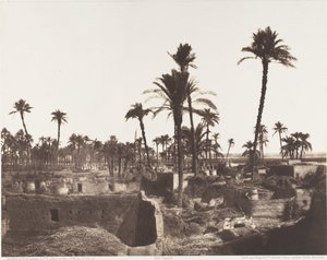 Abâzîz, Inneres eines arabischen Dorfes von Félix Teynard