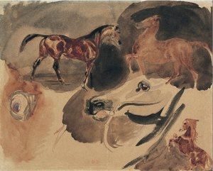 Studie von Pferden