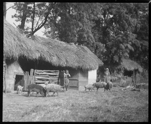 Stall in Semere von Ferdinand Schmutzer