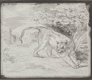 Ein gefangener Tiger, 1854 von Ferdinand Victor Eugene Delacroix
