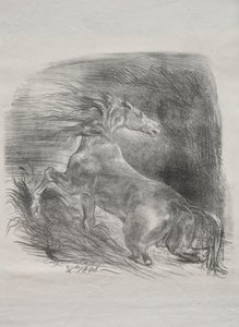Das wilde Pferd oder erschrockenes Pferd verlässt das Wasser, 1828