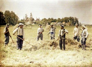 Acht Mitglieder der 143. Infanteriedivision der französischen Armee machen Heu, Soissons, Aisne, Frankreich von Fernand Cuville