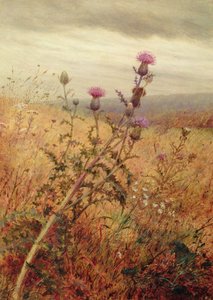 Distel auf einem Feld, 1875