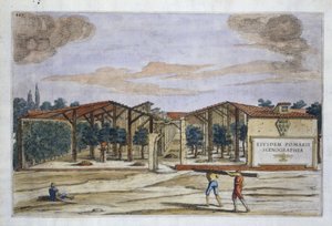 Ein überdachter Obstgarten, aus Hesperides von Giovanni Battista Ferrari, gestochen von Camillo Congio, veröffentlicht 1646 (handkolorierter Stich) von Filippo after Gagliardi