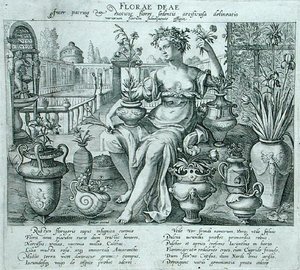 Flora