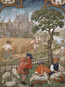 Fol.7v Der Monat Juli: Ernte und Schafschur, aus dem Breviarium Grimani, ca. 1515