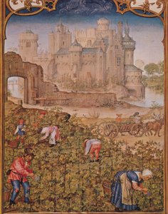 Fol.9v Der Monat September: Die Weinlese, aus Breviarium Grimani, ca. 1515 von Flemish School