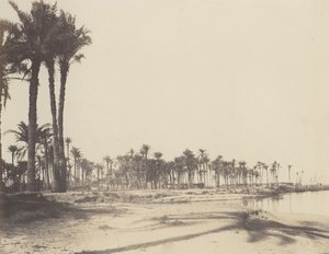 El-Nâcérah, Dattiers, Ufer des Nils und Boote, 1851-52, gedruckt 1853-54 von Félix Teynard