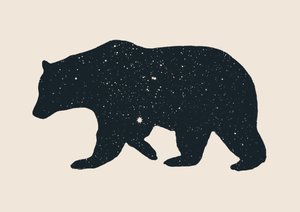 Bär