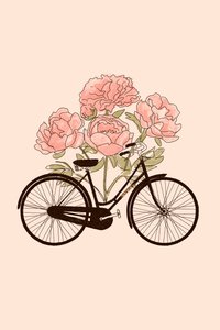 Fahrrad und Blume: Paris