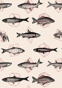 Fische in Geometrie von Florent Bodart