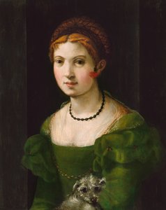 Porträt einer jungen Frau von Florentine 16th Century
