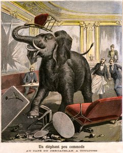 Ein unbequemer Elefant: Der Dickhäuter entkommt aus einer Zirkusmenagerie und zerstört alles im Café von Pre-Catelan in Toulouse. Gravur von Meaulle und Meyer auf der letzten Seite des PETIT JOURNAL Beilagenhefts Nr. 51 vom 14. November von Fortune Louis and Meyer Henri  Meaulle