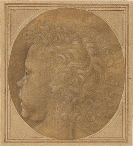 Kopf eines Kindes [recto]