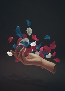 Elegante Hand Schwebende Blütenblätter