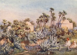 Koubba von Sidi Noumann, Bouzareah