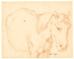 Ein Pferd