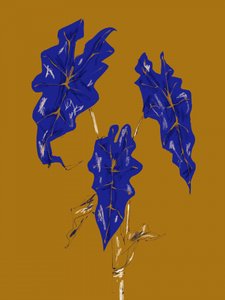 Goldene Blaue Blätter