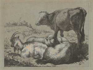 Stehender Ochse, zwei Schafe und eine Ziege, ca. 1762