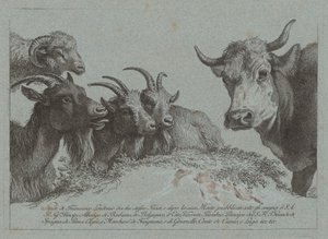 Studie von Köpfen: Drei Ziegen, ein Ochse und ein Widder, veröffentlicht ca. 1783