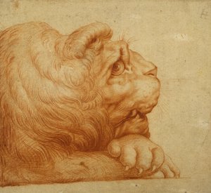 Ein Löwenkopf im Profil von Francesco de Rossi Salviati Cecchino