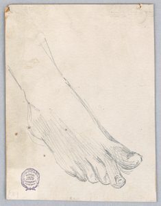 Studie des rechten Fußes von Francis Augustus Lathrop