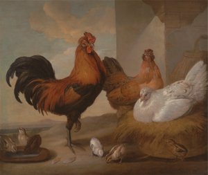 Haushahn, Hennen und Küken von Francis Barlow