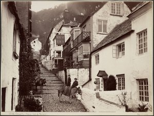 Clovelly, New Inn & Straße von Francis Bedford