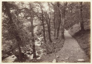 Dolgelley, Ansicht im Torrent Walk von Francis Bedford