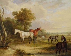 Pferde beim Grasen: Ein grauer Hengst mit Stuten auf einer Wiese von Francis Calcraft Turner