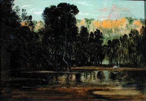 Eine bewaldete Landschaft bei Sonnenuntergang