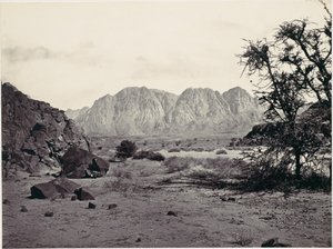 Das beschriebene Tal, Sinai