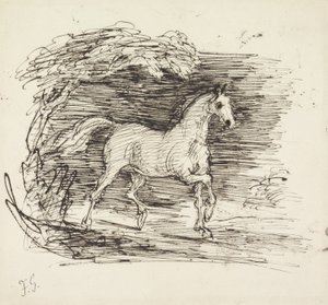Ein graues Pferd trabt aus einem Wald von Francis Grant