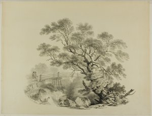 Baum und Fußbrücke