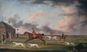Das Rennen der Hunde in Newmarket