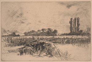 Eine Wasserwiese von Francis Seymour Haden