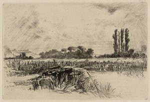 Eine Wasserwiese von Francis Seymour Haden