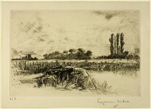 Eine Wasserwiese von Francis Seymour Haden