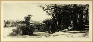 Früher Morgen, Richmond Park