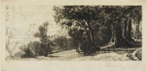 Früher Morgen, Richmond Park von Francis Seymour Haden