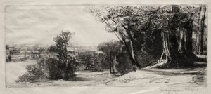 Früher Morgen, Richmond Park