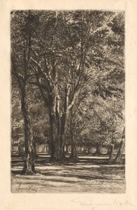 Kensington Gardens, Nr. 2 Große Platte, 1860 von Francis Seymour Haden
