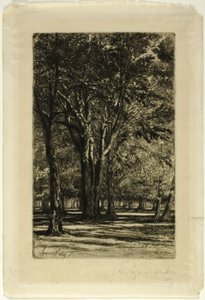 Kensington Gardens, Nr. II (große Platte) von Francis Seymour Haden