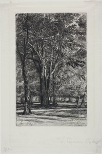 Kensington Gardens, Nr. II (große Platte) von Francis Seymour Haden