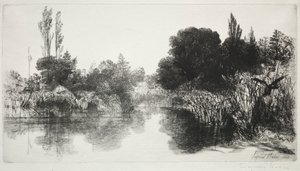 Shere Mill Pond, Nr. 11 (Die große Platte) von Francis Seymour Haden